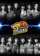 Handsome Tigers