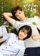 A Love So Beautiful Special
