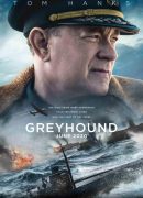 Greyhound